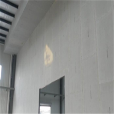 田东宁波ALC板|EPS加气板隔墙与混凝土整浇联接的实验研讨